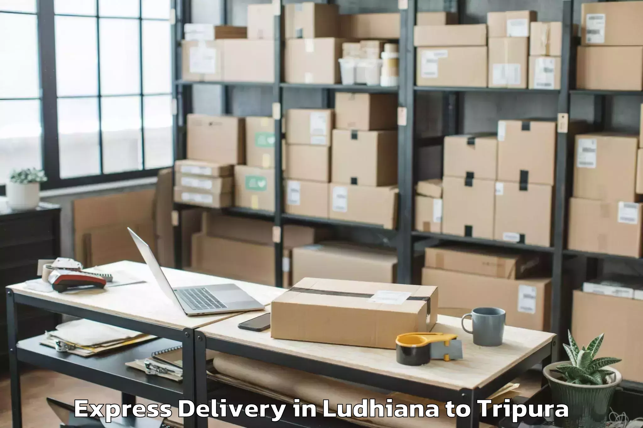 Trusted Ludhiana to Teliamura Express Delivery